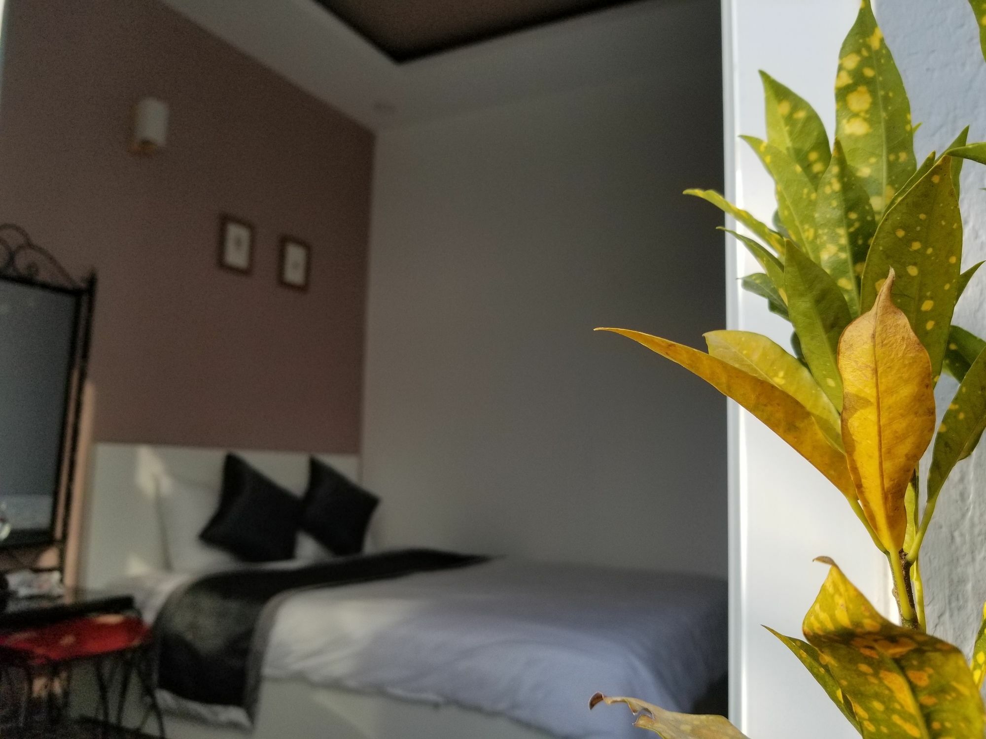 Ribe'S House Apartment Dalat Luaran gambar